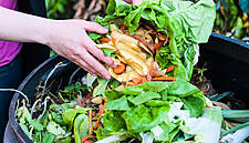 Time To Step Up How We Approach Food Waste: IGD
