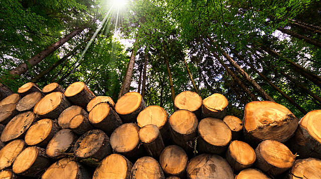 Embracing Sustainability Post-COVID – How Retailers Can Respond