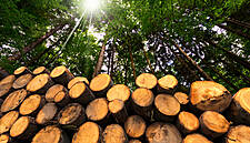 Time For Change – How Major Retailers And Brands Are Embracing Sustainability