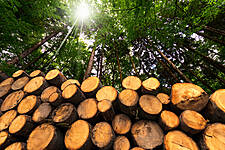 Embracing Sustainability Post-COVID – How Retailers Can Respond