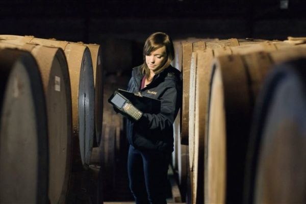 Diageo Reports Improvement In Gender Pay Gap In 2019