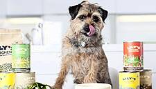 Nestlé Buys Lily's Kitchen Pet Food, Sees Some Coronavirus Stockpiling