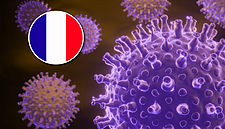 Coronavirus – Retail & FMCG Updates From France