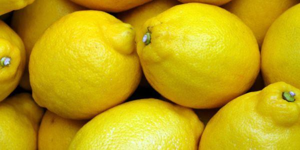 Mercadona Announces Arrival Of New Citrus Fruit Varieties