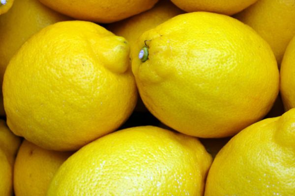 Mercadona Announces Arrival Of New Citrus Fruit Varieties