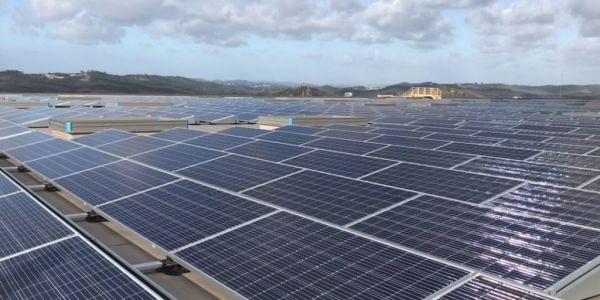 Jerónimo Martins Invests €1.2m In Photovoltaic Energy System