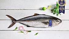 NIREUS’ Meagre And Amberjack Win Superior Taste Award 2020