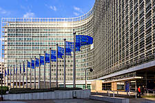 The Economy Has Been Transformed, But Taxation Needs To Catch Up, Says EuroCommerce