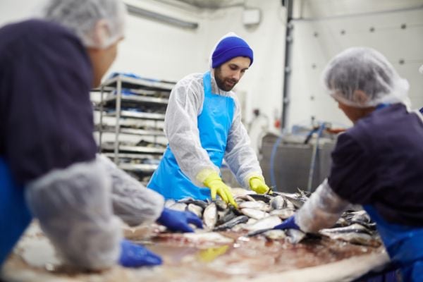 The European Fish And Seafood Sector In 2022: A Deep Dive