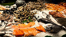 Scotland's Seafood Exporters Dealt New Post-Brexit Blow