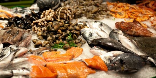 Scotland's Seafood Exporters Dealt New Post-Brexit Blow