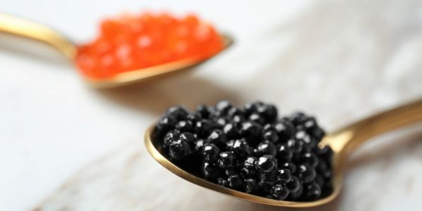 Half Of European Commercial Caviar Products Unlawful, Study Finds