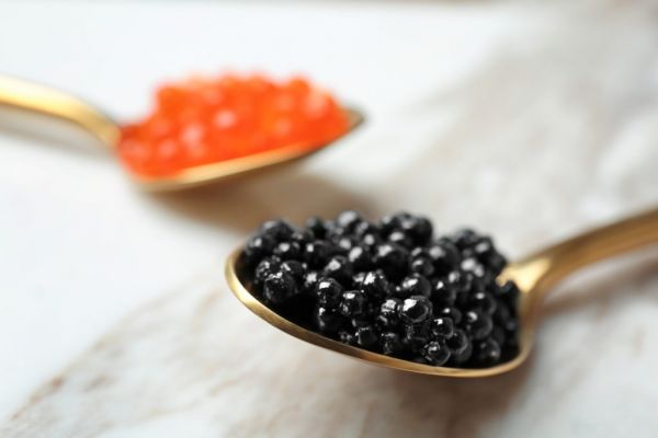 Half Of European Commercial Caviar Products Unlawful, Study Finds