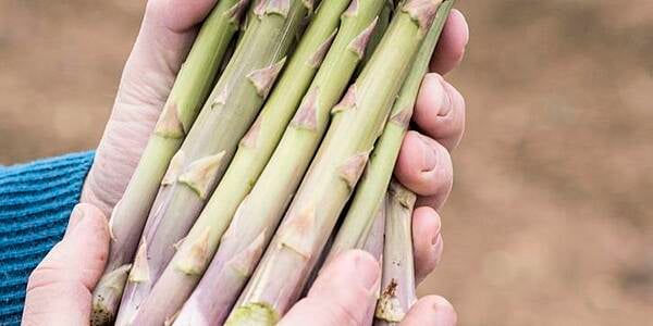 Waitrose Relaxes Size And Shape Guidelines For Vegetables