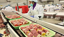 Italy's Amadori Sees Turnover Up, Limited COVID-19 Impact