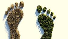 Lidl Belgium Announces Plan To Help Suppliers In Lowering CO2 Emissions