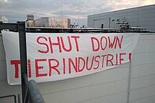 German Animal-Rights Protesters Target Meat Plant Linked To Coronavirus Cluster
