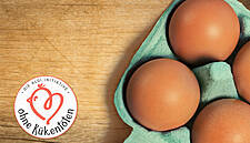 Aldi Partners With PLANTON To Prevent Culling Of Male Chicks