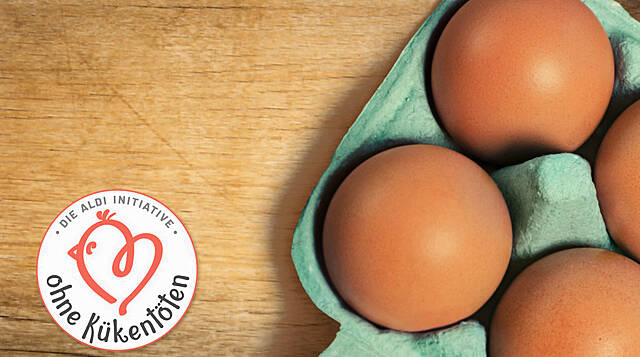 Aldi Partners With PLANTON To Prevent Culling Of Male Chicks