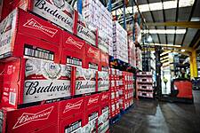 Rising Costs Weigh On AB InBev Despite Higher Beer Sales