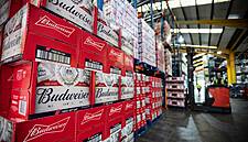 Rising Costs Weigh On AB InBev Despite Higher Beer Sales