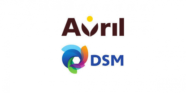 Dutch Group DSM And France's Avril To Start Plant Protein Output In 2022