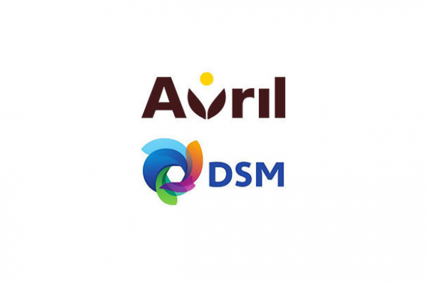 Dutch Group DSM And France's Avril To Start Plant Protein Output In 2022