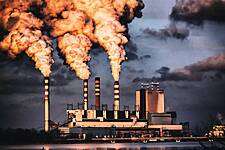 Unilever, Danone And Others Team Up To Combat Global Carbon Emissions