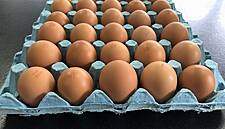 Waitrose To Introduce Mixed Size Packs For Own-Brand Eggs
