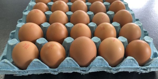 Waitrose To Introduce Mixed Size Packs For Own-Brand Eggs