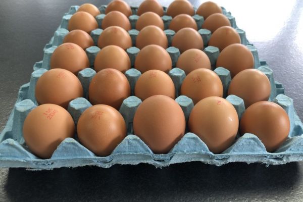 Waitrose To Introduce Mixed Size Packs For Own-Brand Eggs