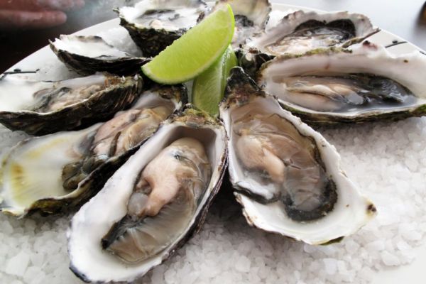 EU, US Agree To Resume Trade In Mussels, Clams And Oysters