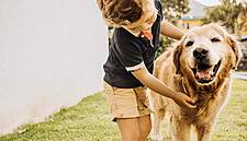 Nestlé To Step Up Pet Food Production In The US And Australia