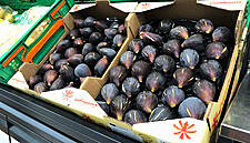Mercadona To Buy 850 Tonnes Of Local Figs In 2020