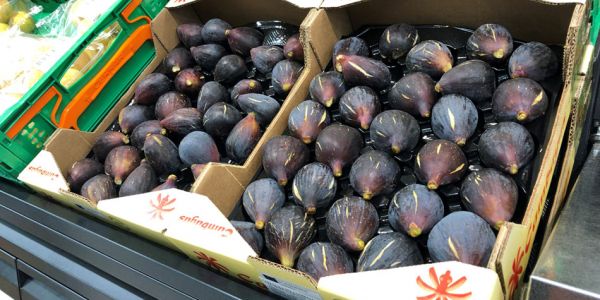 Mercadona To Buy 850 Tonnes Of Local Figs In 2020