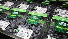 Asda Introduces Blueberries In 100% Recyclable Punnets