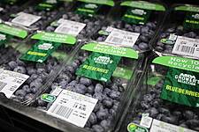 Asda Introduces Blueberries In 100% Recyclable Punnets
