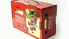 Obeikan Continues Innovation In Sustainable Packaging, Store Display Solutions