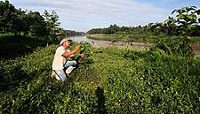 Nestlé To Plant Three Million Trees In Malaysia By 2023