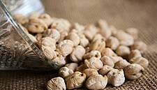 France's Limagrain To Launch Plant-Based Protein Food Next Year