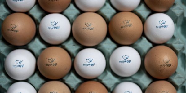 Jumbo To Launch 'Respeggt'-Certified Eggs In March