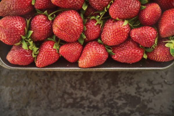 Dutch Retailer Plus Launches Premium Fruit And Vegetables Range