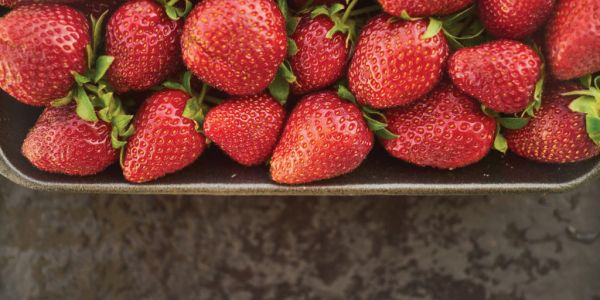 Dutch Retailer Plus Launches Premium Fruit And Vegetables Range