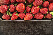 Dutch Retailer Plus Launches Premium Fruit And Vegetables Range