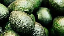 Rewe Group Introduces Avocado Coating To Extend Shelf Life