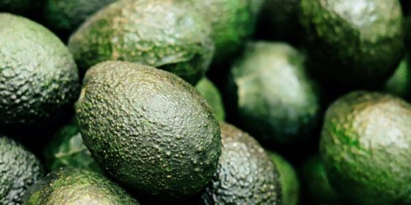 Avocado Boom Comes At A Price In Portugal's Parched Algarve