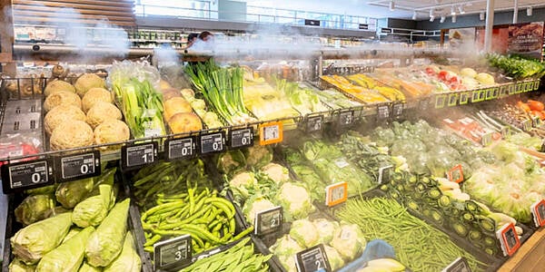 Dutch Supermarkets Turn To 'Dry Mist' For Their Fruit & Veg Departments