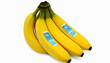 Belgium's Delhaize Offers 'Carbon-Neutral' Bananas