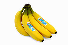 Belgium's Delhaize Offers 'Carbon-Neutral' Bananas