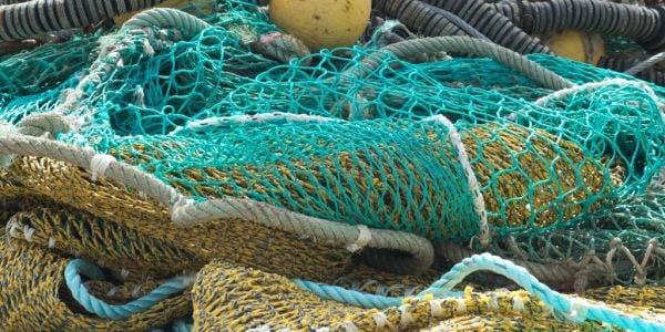 Thai Union Pledges To Protect Endangered Species By Avoiding Bycatch